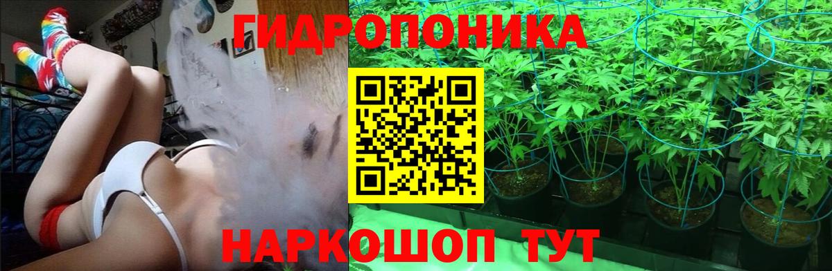 Конопля White Widow Можга